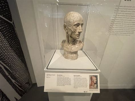 How to create 3D Scans at Museums .